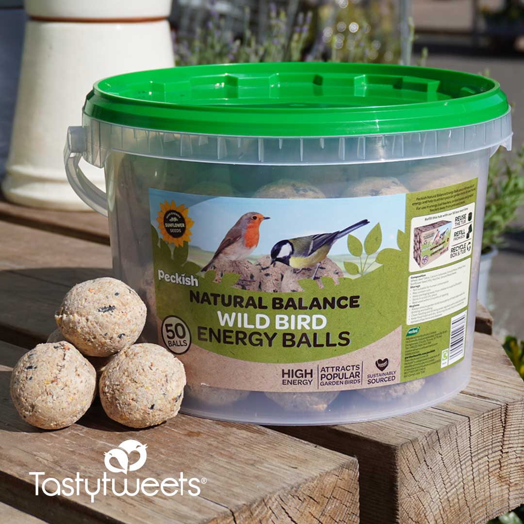 Peckish Wild Bird Feeders Bundle - 2kg Rich In Oil Nyjer Bird Seeds - Foto 9